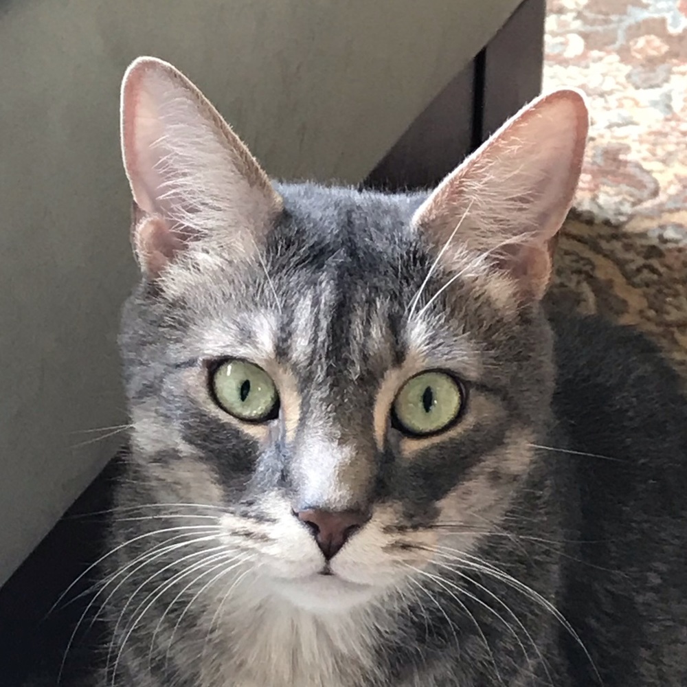 Meet your Posher, Jessica